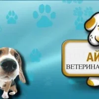 Ветеринарная клиника Айболит Фото 2 на проекте Ufa.vetspravka.ru Ветеринарная клиника Айболит Фото 2 на проекте Ufa.vetspravka.ru
