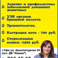 Ветеринарная клиника Дарвин Фото 2 на проекте Ufa.vetspravka.ru Ветеринарная клиника Дарвин Фото 2 на проекте Ufa.vetspravka.ru