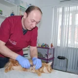 Ветеринарная клиника ВетЭксперт Фото 2 на проекте VetSpravka.ru