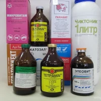 Салон-магазин конной амуниции, экипировки и товаров Golden Horse Фото 2 на проекте Ufa.vetspravka.ru Салон-магазин конной амуниции, экипировки и товаров Golden Horse Фото 2 на проекте Ufa.vetspravka.ru