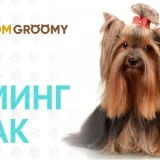 Груминг салон GroomGroomy  на проекте VetSpravka.ru