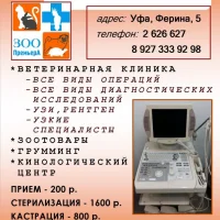 ЗооПремьера Фото 2 на проекте Ufa.vetspravka.ru ЗооПремьера Фото 2 на проекте Ufa.vetspravka.ru