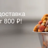 Зоосалон Багира Фото 2 на проекте Ufa.vetspravka.ru Зоосалон Багира Фото 2 на проекте Ufa.vetspravka.ru