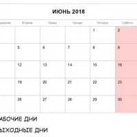 Зоосалон Багира Фото 2 на проекте Ufa.vetspravka.ru Зоосалон Багира Фото 2 на проекте Ufa.vetspravka.ru